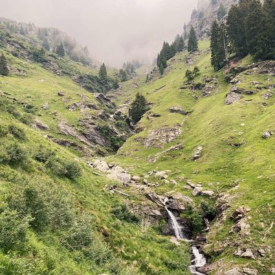 Pures-Almheu-ALMUT-von-Wildheim-reisetopia Heimat von ALMUT von Wildheim Reisetopia