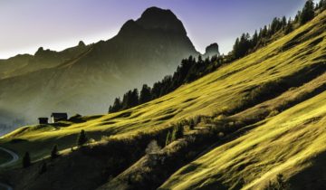 Woher stammt eigentlich unser Almheu?