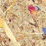 Tischlampe aus Holz Eiche geschwungen 1411 ALMUT - Almwiese