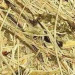 Tischlampe aus Holz Eiche geschwungen 1411 ALMUT - Heu