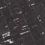 Tischlampe aus Holz Eiche geschwungen 1411 ALMUT - Kork