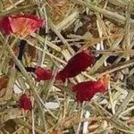 Stehlampe aus Eichenholz und Heu 2610 - Heu mit roten Rosenblüten