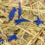 Stehlampe aus Eichenholz und Heu 2610 - Heu mit blauen Kornblumen