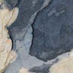 Tischlampe aus Holz Eiche geschwungen 1411 ALMUT - Stein